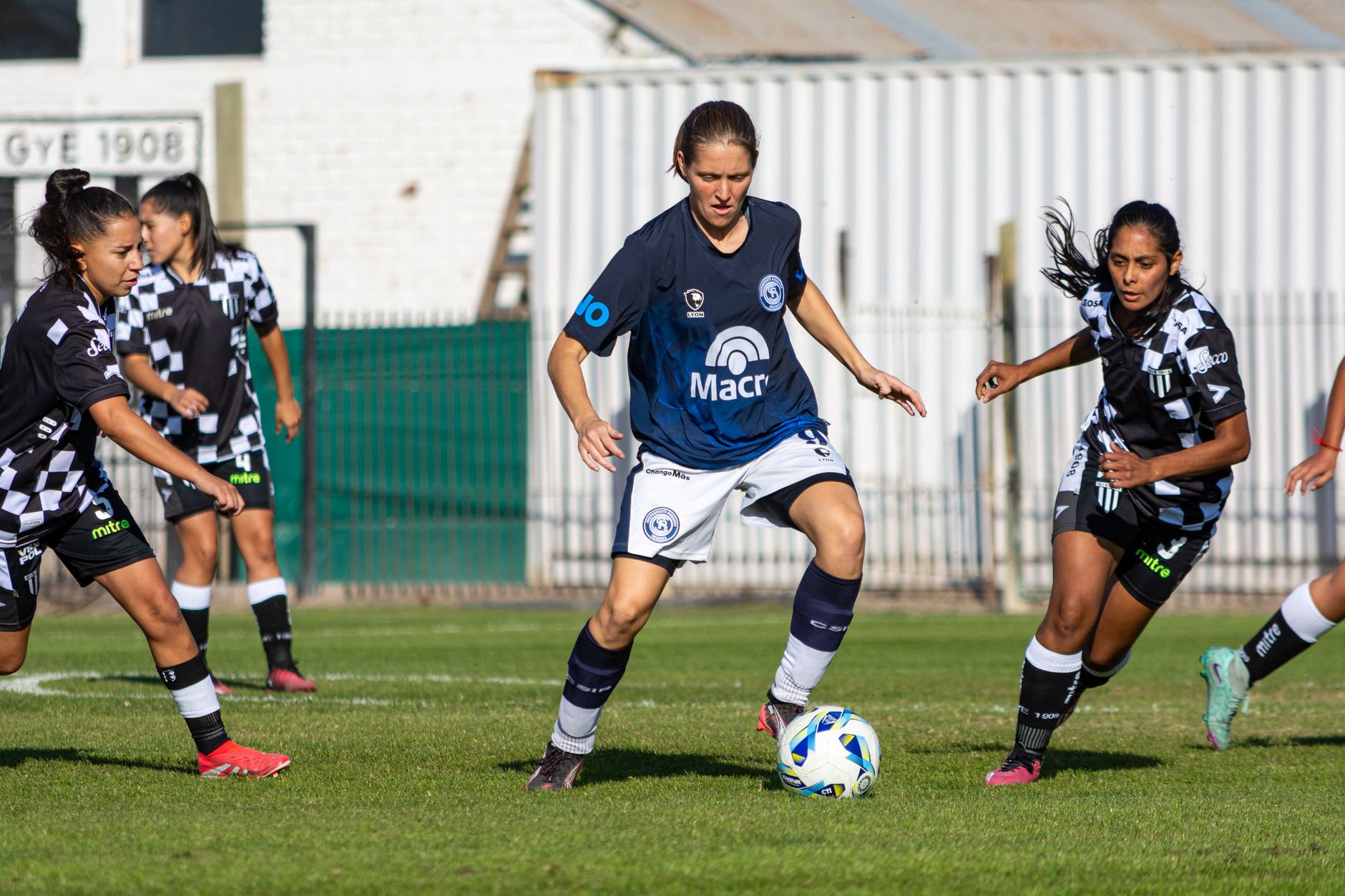 city lionesses